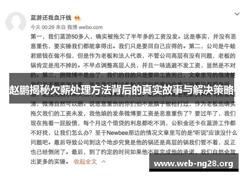 赵鹏揭秘欠薪处理方法背后的真实故事与解决策略